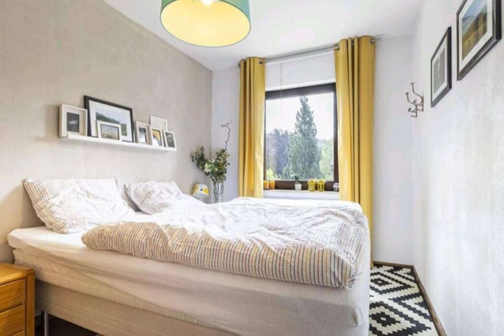 Apartment Mit Kamin-Sonnendurchflutet-Balkon Winterberg Zewnętrze zdjęcie
